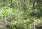 Kangaroo Valleysustainable-landscaping-21.jpg; ?>